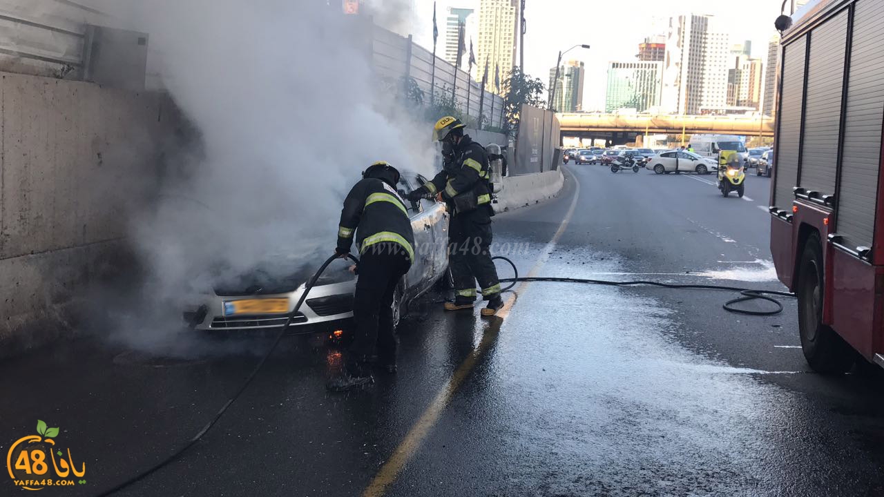 fire ayalooonhasgrq (7).jpg